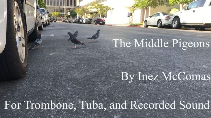 The Middle Pigeons
